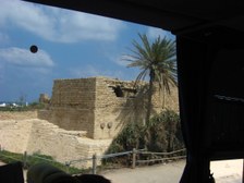 Enlarge photo 61