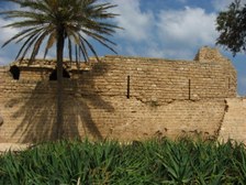 Enlarge photo 62