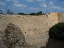 Enlarge photo 65