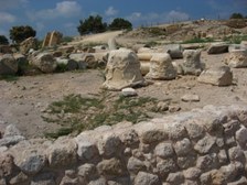 Enlarge photo 77