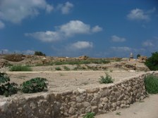 Enlarge photo 78