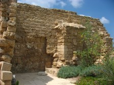 Enlarge photo 80