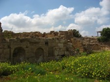 Enlarge photo 81