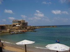 Enlarge photo 83