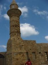 Enlarge photo 91