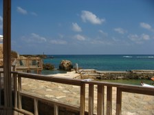 Enlarge photo 95