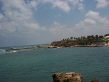 Enlarge photo 102