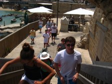 Enlarge photo 103