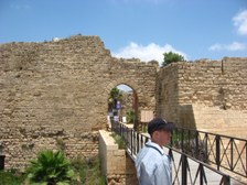 Enlarge photo 119