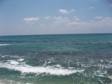 Enlarge photo 122