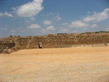 Enlarge photo 126