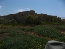 Enlarge photo 139