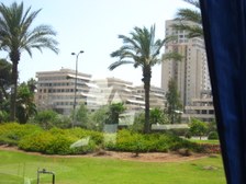 Enlarge photo 160