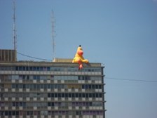 Enlarge photo 171