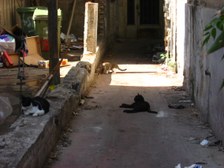Enlarge photo 187