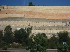 Enlarge photo 202