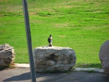 Enlarge photo 205