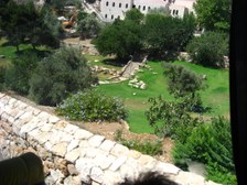 Enlarge photo 21