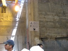 Enlarge photo 41
