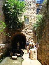 Enlarge photo 67