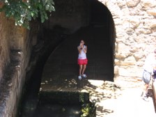 Enlarge photo 72