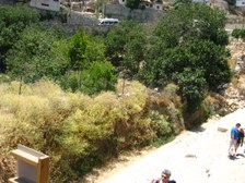 Enlarge photo 83