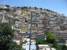 Enlarge photo 85