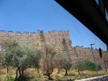 Enlarge photo 87