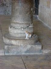 Enlarge photo 118