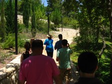Enlarge photo 15