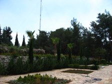 Enlarge photo 20