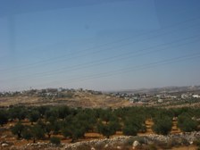 Enlarge photo 32