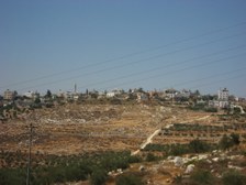 Enlarge photo 33
