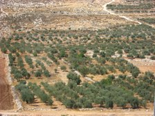 Enlarge photo 34