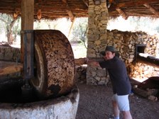 Enlarge photo 37