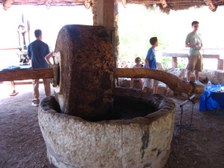 Enlarge photo 38