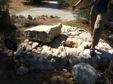 Enlarge photo 45