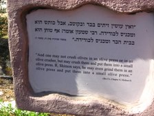 Enlarge photo 46