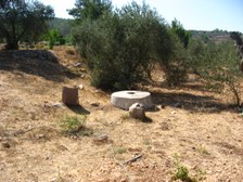 Enlarge photo 49