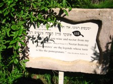 Enlarge photo 53