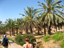Enlarge photo 73