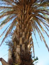 Enlarge photo 74