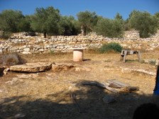 Enlarge photo 83