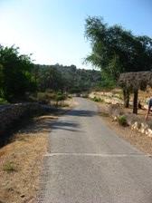 Enlarge photo 97