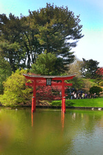 Enlarge photo 4