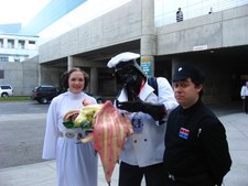 Enlarge photo 8