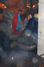 Enlarge photo 22
