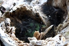 Enlarge photo 16