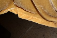 Enlarge photo 32