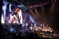 Enlarge photo 44